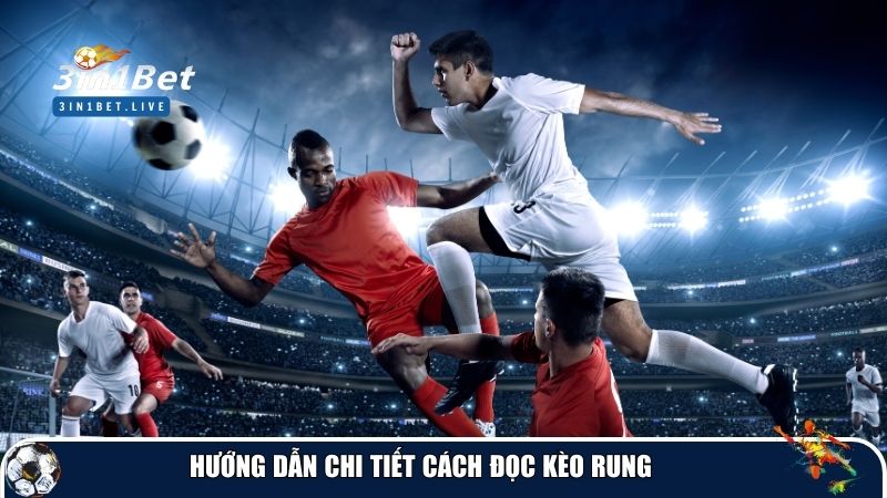 Hướng dẫn chi tiết cách đọc kèo rung