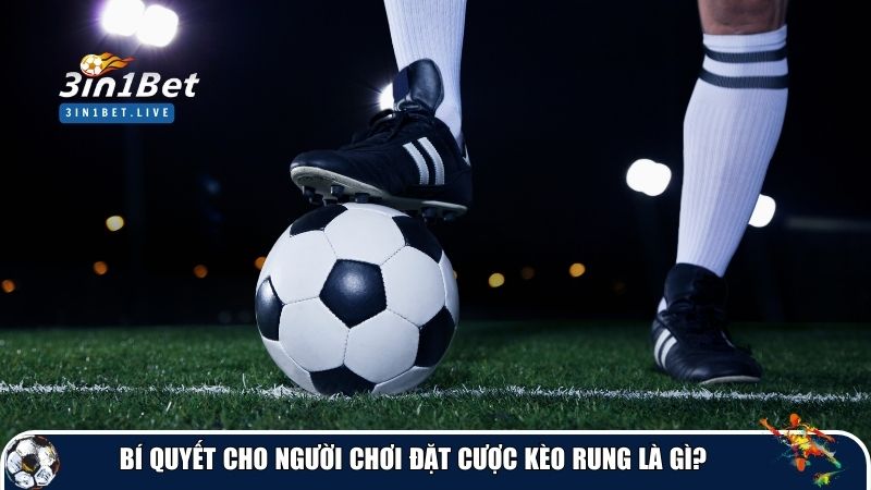 Bí quyết cho người chơi đặt cược kèo rung là gì?